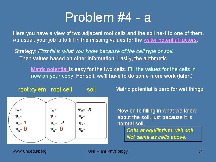 Problem #4 - a Here you have a view of two adjacent root cells