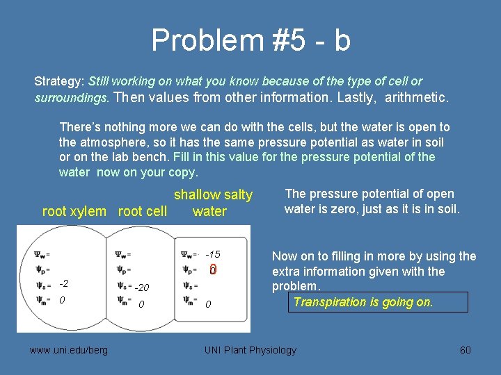 Problem #5 - b Strategy: Still working on what you know because of the