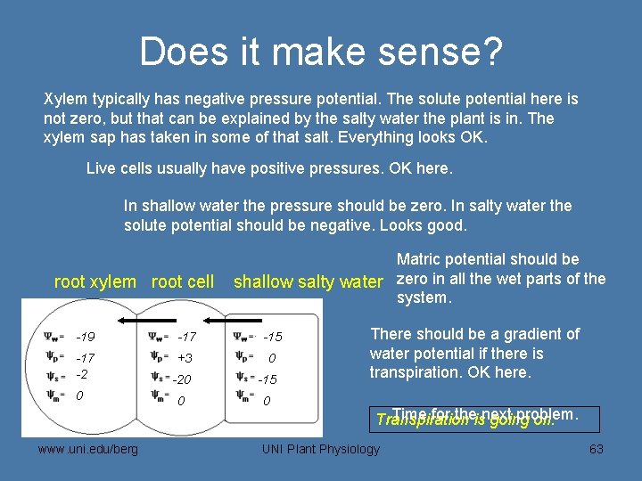 Does it make sense? Xylem typically has negative pressure potential. The solute potential here