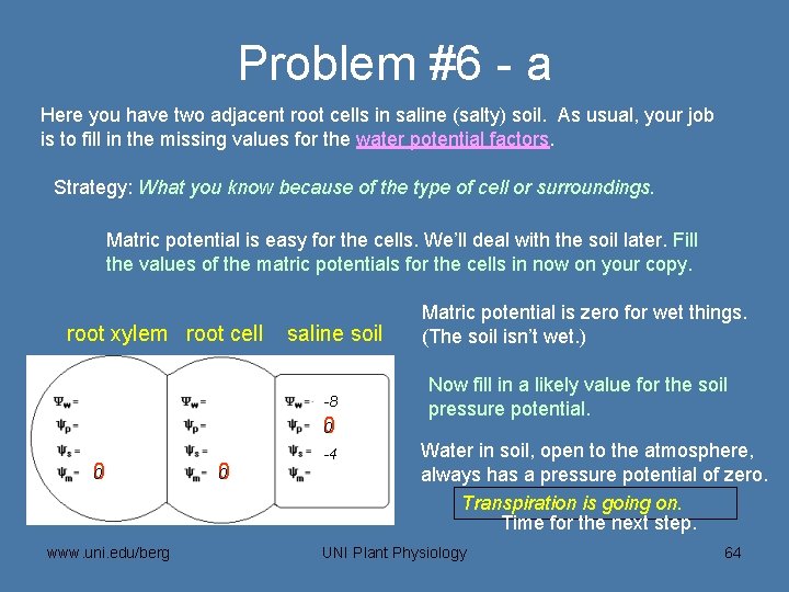 Problem #6 - a Here you have two adjacent root cells in saline (salty)