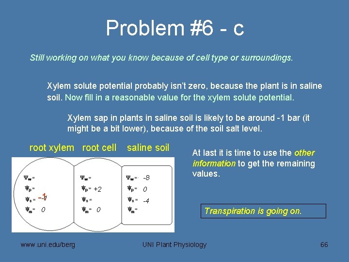 Problem #6 - c Still working on what you know because of cell type