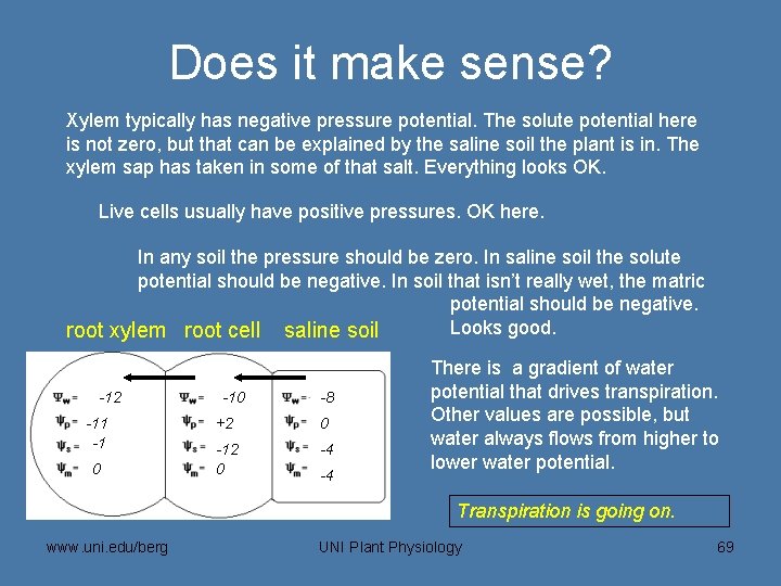 Does it make sense? Xylem typically has negative pressure potential. The solute potential here