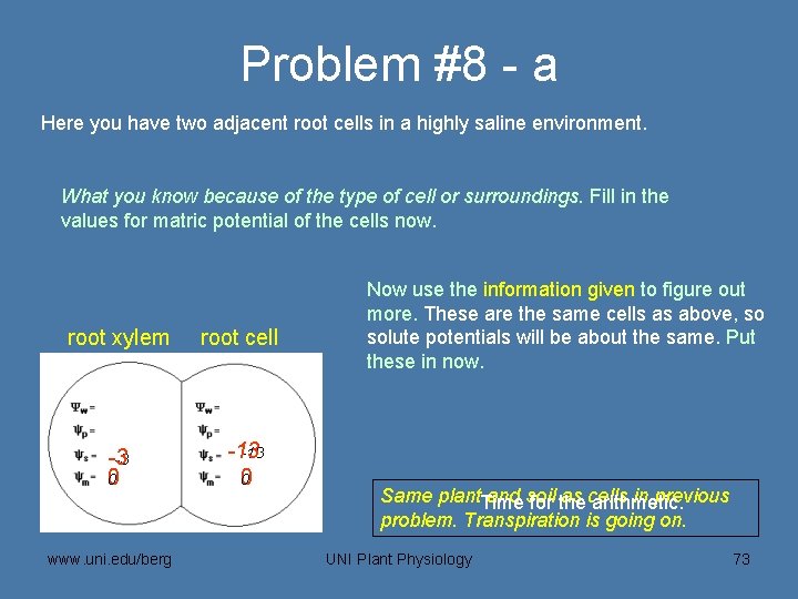 Problem #8 - a Here you have two adjacent root cells in a highly