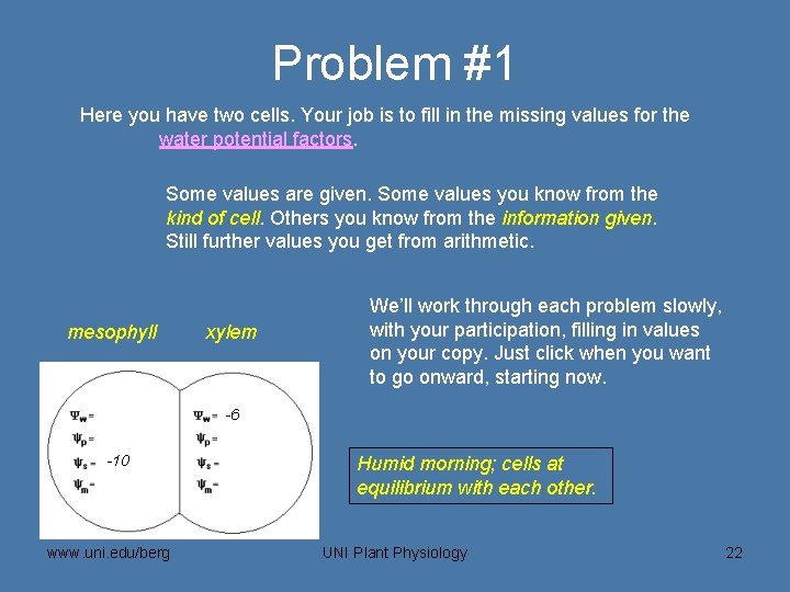 Problem #1 Here you have two cells. Your job is to fill in the
