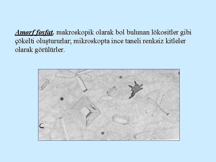 Amorf fosfat, makroskopik olarak bol bulunan lökositler gibi çökelti oluştururlar; mikroskopta ince taneli renksiz