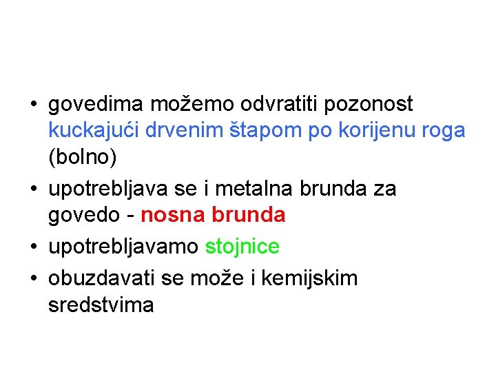  • govedima možemo odvratiti pozonost kuckajući drvenim štapom po korijenu roga (bolno) •