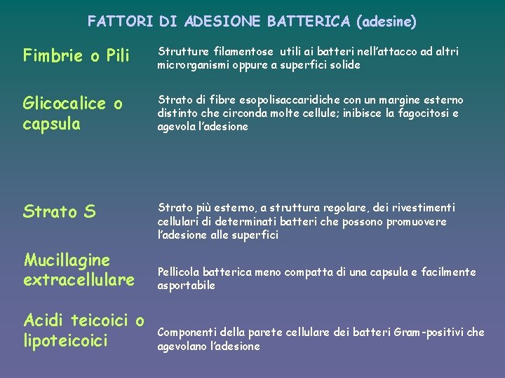 FATTORI DI ADESIONE BATTERICA (adesine) Fimbrie o Pili Strutture filamentose utili ai batteri nell’attacco