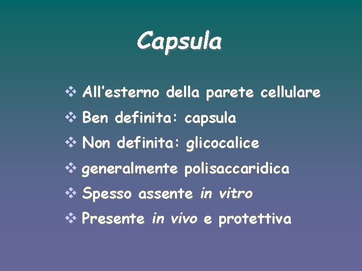 Capsula v All’esterno della parete cellulare v Ben definita: capsula v Non definita: glicocalice