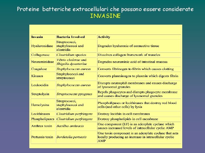 Proteine batteriche extracellulari che possono essere considerate INVASINE 