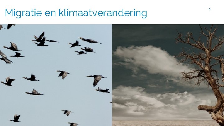 Migratie en klimaatverandering 6 