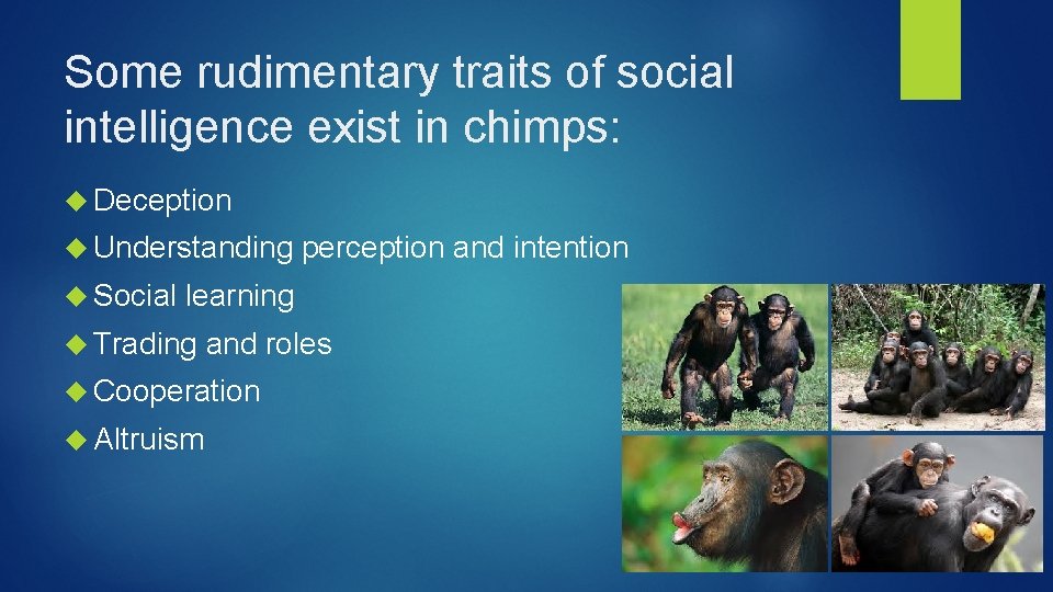 Some rudimentary traits of social intelligence exist in chimps: Deception Understanding Social perception and