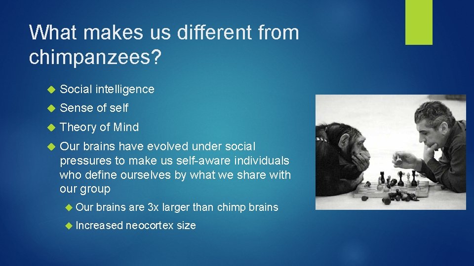 What makes us different from chimpanzees? Social intelligence Sense of self Theory of Mind