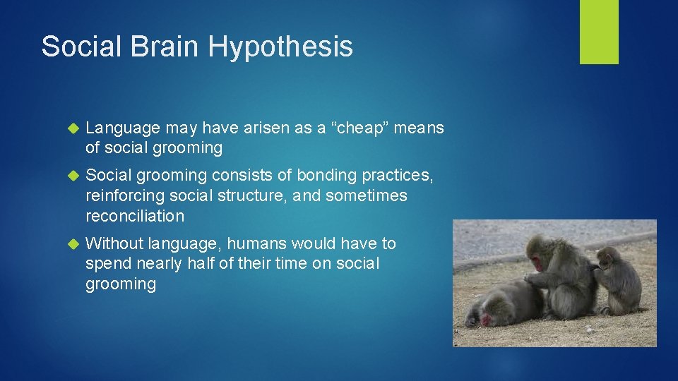 Social Brain Hypothesis Language may have arisen as a “cheap” means of social grooming