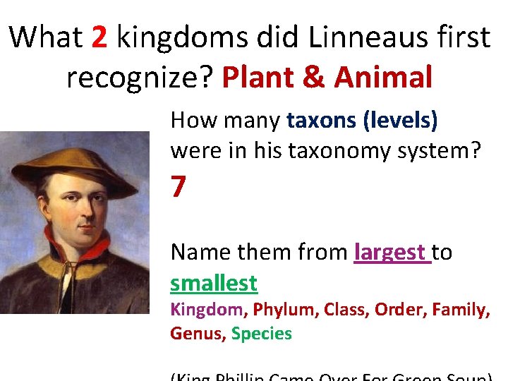 What 2 kingdoms did Linneaus first recognize? Plant & Animal How many taxons (levels)