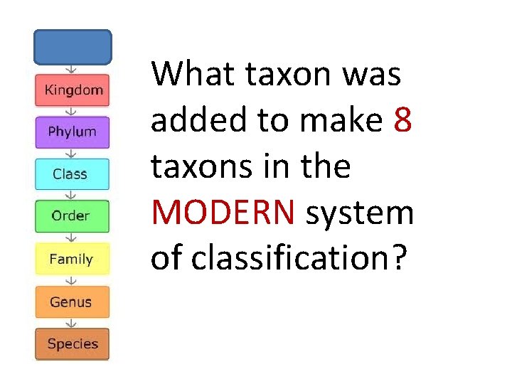 What taxon was added to make 8 taxons in the MODERN system of classification?