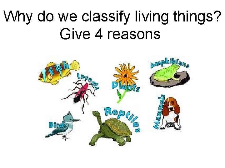 Why do we classify living things? Give 4 reasons 