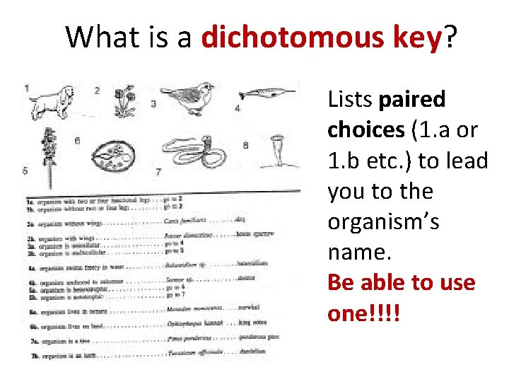 What is a dichotomous key? Lists paired choices (1. a or 1. b etc.