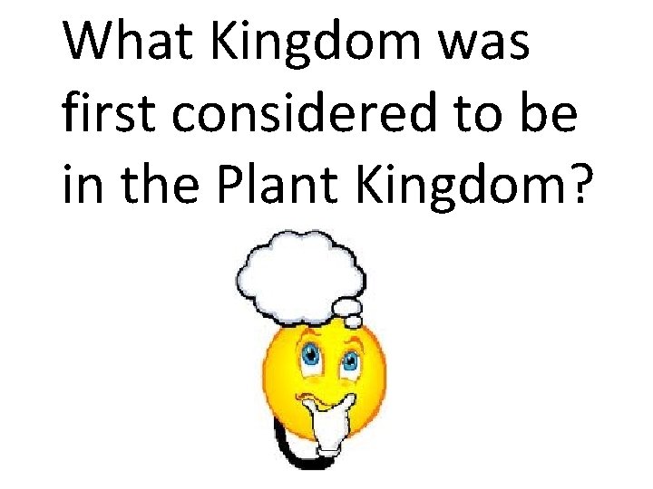 What Kingdom was first considered to be in the Plant Kingdom? 