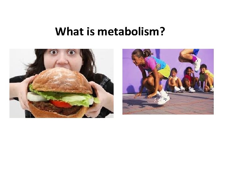 What is metabolism? 