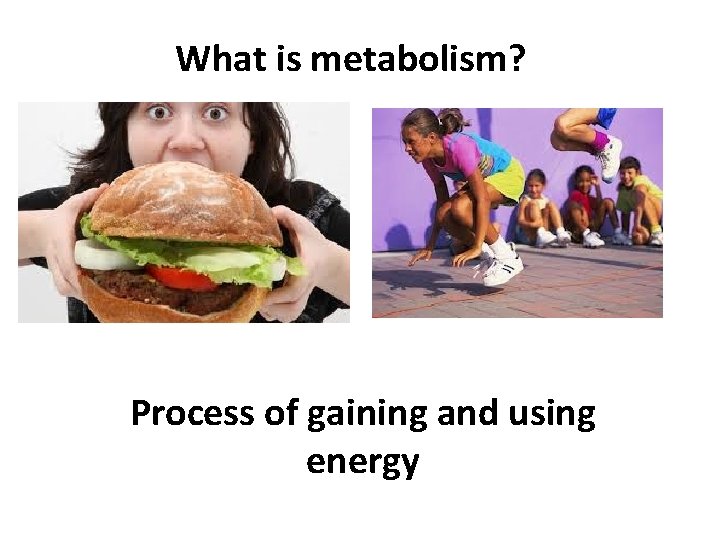 What is metabolism? Process of gaining and using energy 