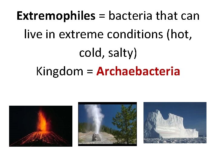 Extremophiles = bacteria that can live in extreme conditions (hot, cold, salty) Kingdom =