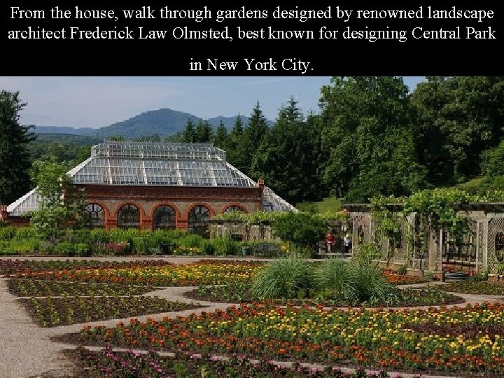 From the house, walk through gardens designed by renowned landscape architect Frederick Law Olmsted,