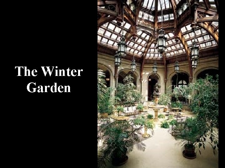 The Winter Garden 