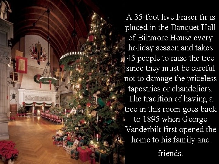 A 35 -foot live Fraser fir is placed in the Banquet Hall of Biltmore