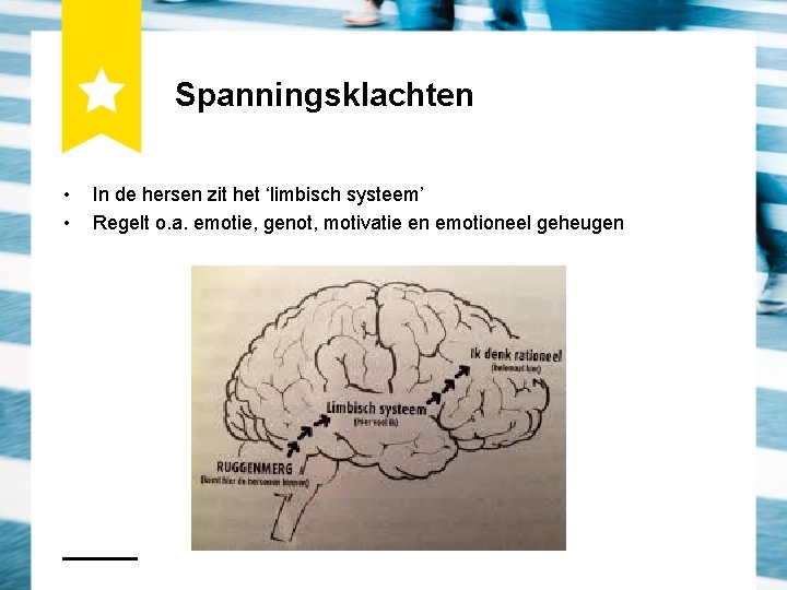 Spanningsklachten • • In de hersen zit het ‘limbisch systeem’ Regelt o. a. emotie,