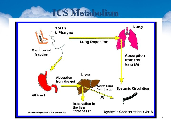 ICS Metabolism 