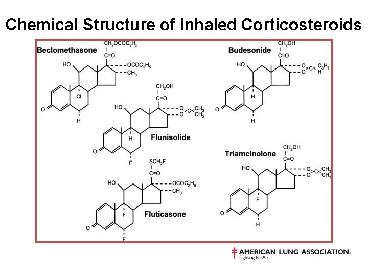 Chemical Structure of Inhaled Corticosteroids 
