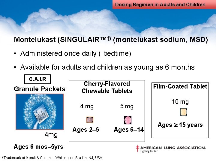 Dosing Regimen in Adults and Children Montelukast (SINGULAIR™†) (montelukast sodium, MSD) • Administered once