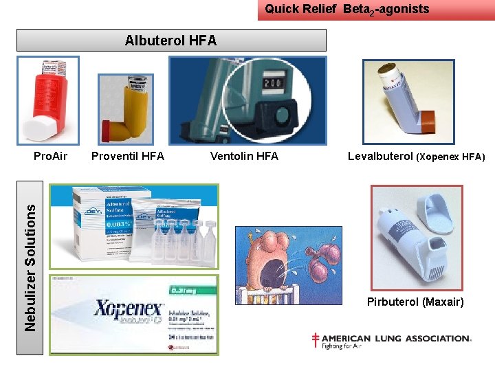 Quick Relief Beta 2 -agonists Albuterol HFA Nebulizer Solutions Pro. Air Proventil HFA Ventolin