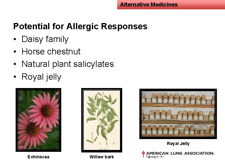 Alternative Medicines Potential for Allergic Responses • Daisy family • Horse chestnut • Natural