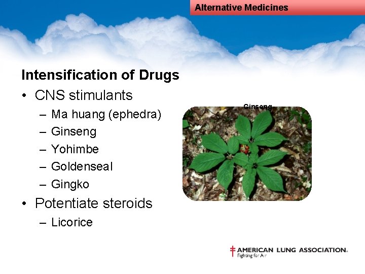 Alternative Medicines Intensification of Drugs • CNS stimulants – – – Ma huang (ephedra)
