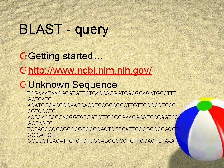 BLAST - query ZGetting started… Zhttp: //www. ncbi. nlm. nih. gov/ ZUnknown Sequence TCGAAATAACGCGTGTTCTCAACGCGGTCGCGCAGATGCCTTT