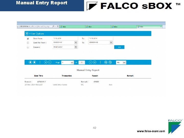 Manual Entry Report ™ 42 www. falco-ecom. com 