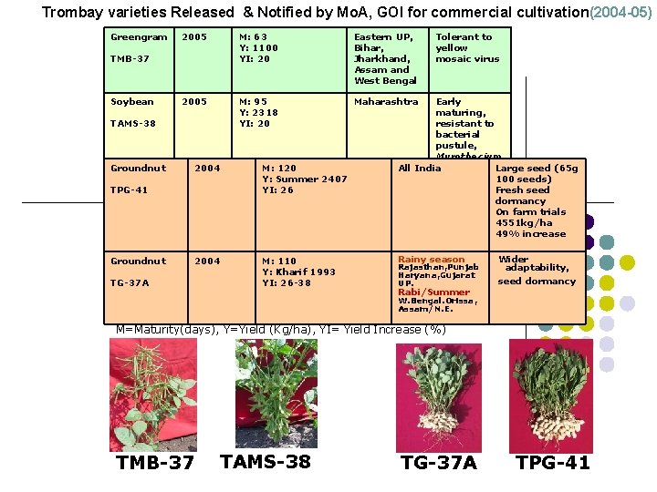 Trombay varieties Released & Notified by Mo. A, GOI for commercial cultivation(2004 -05) Greengram