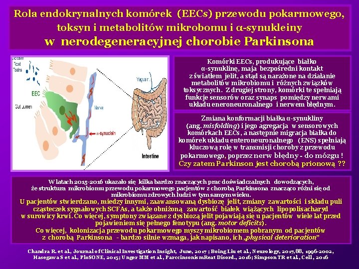 Rola endokrynalnych komórek (EECs) przewodu pokarmowego, toksyn i metabolitów mikrobomu i α-synukleiny w nerodegeneracyjnej