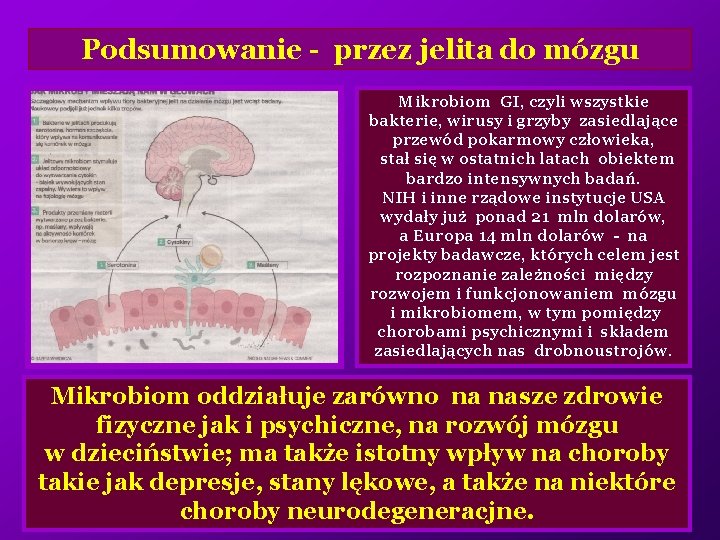 Podsumowanie - przez jelita do mózgu Mikrobiom GI, czyli wszystkie bakterie, wirusy i grzyby