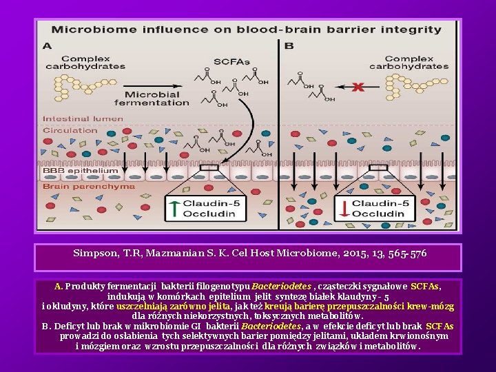 Simpson, T. R, Mazmanian S. K. Cel Host Microbiome, 2015, 13, 565 -576 A.