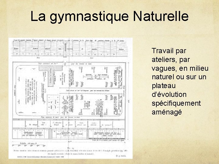 La gymnastique Naturelle Travail par ateliers, par vagues, en milieu naturel ou sur un