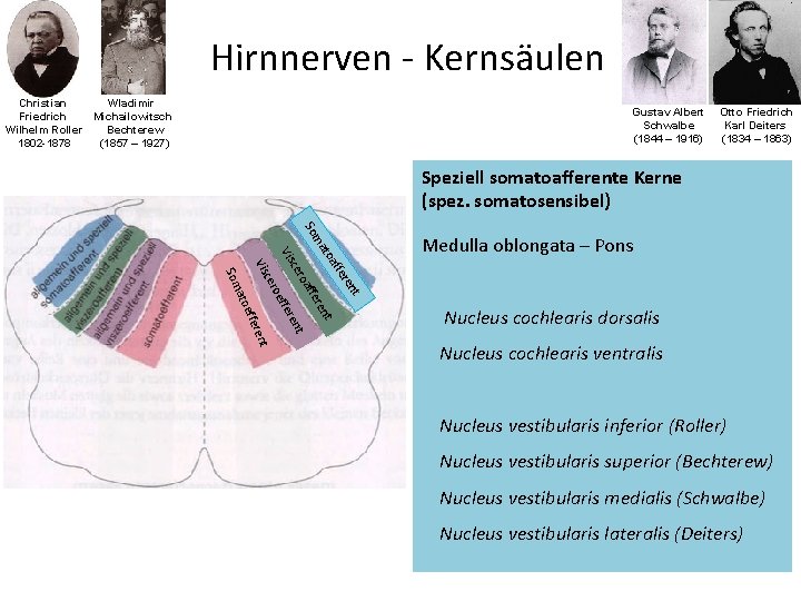 Hirnnerven - Kernsäulen Wladimir Christian Michailowitsch Friedrich Bechterew Wilhelm Roller (1857 – 1927) 1802