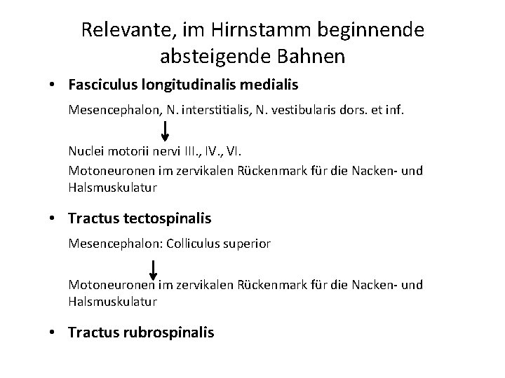 Relevante, im Hirnstamm beginnende absteigende Bahnen • Fasciculus longitudinalis medialis Mesencephalon, N. interstitialis, N.