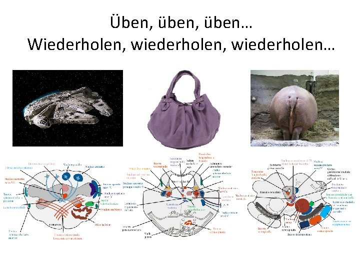 Üben, üben… Wiederholen, wiederholen… 