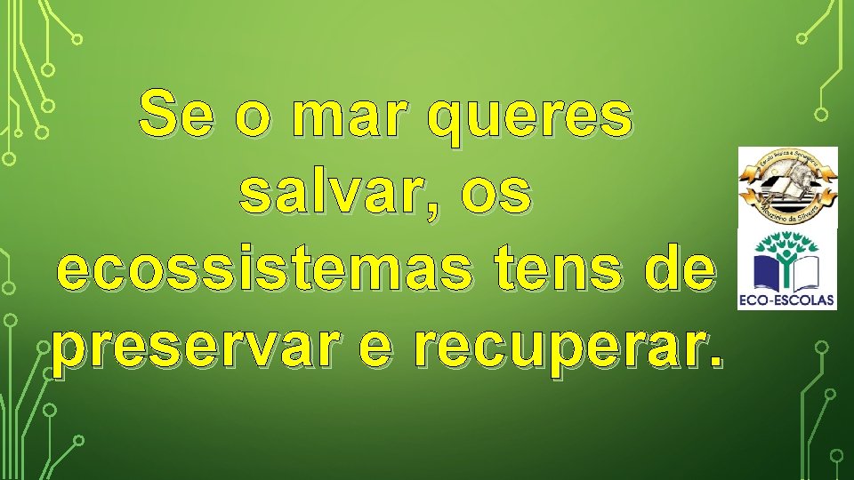 Se o mar queres salvar, os ecossistemas tens de preservar e recuperar. 