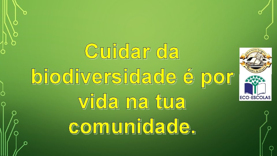 Cuidar da biodiversidade é por vida na tua comunidade. 