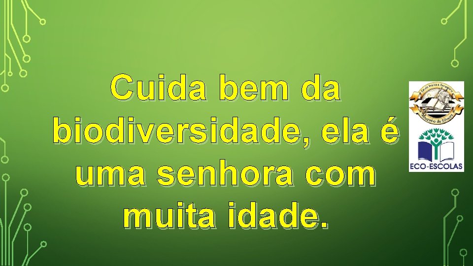 Cuida bem da biodiversidade, ela é uma senhora com muita idade. 