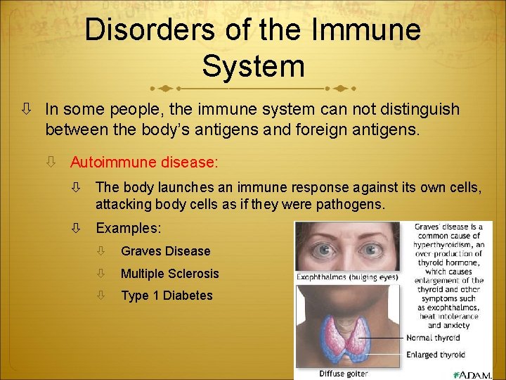 Disorders of the Immune System In some people, the immune system can not distinguish