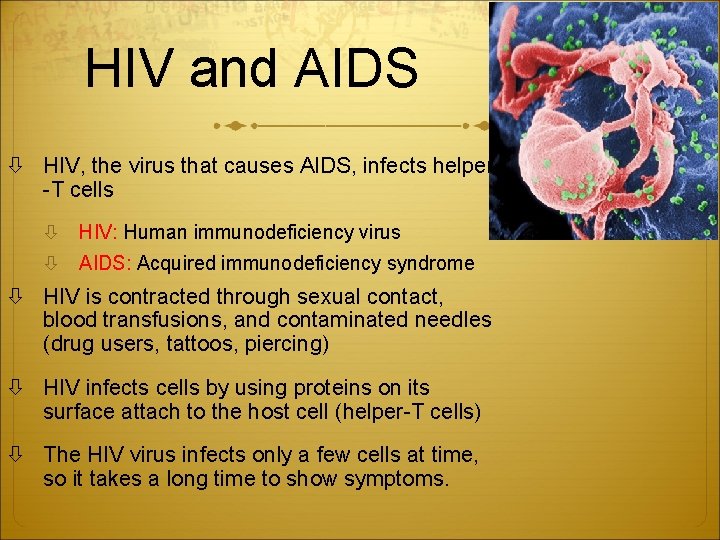 HIV and AIDS HIV, the virus that causes AIDS, infects helper -T cells HIV: